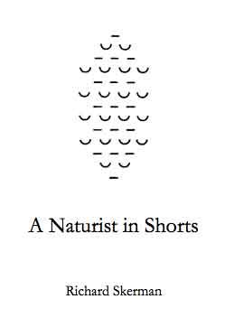 A Naturist in shorts (1990)